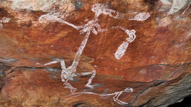 1b_Mt Borradaile - Cooper Creek_5723_800